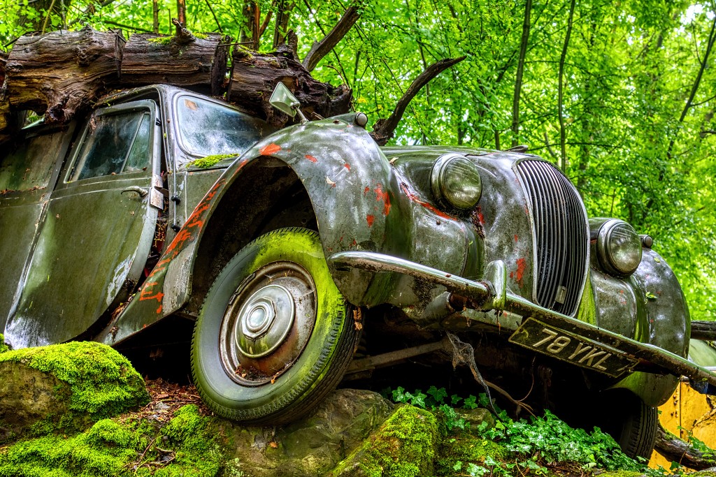 HDR Auto Skulpturen Park museum Neandertal oldtimer urbex decay abandoned derelict abandonne Michael Fröhlich froehlich Duitsland deutschland kunst art